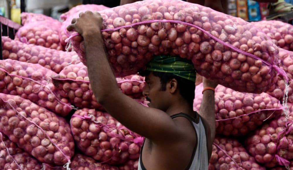 Bulk Onion Supply